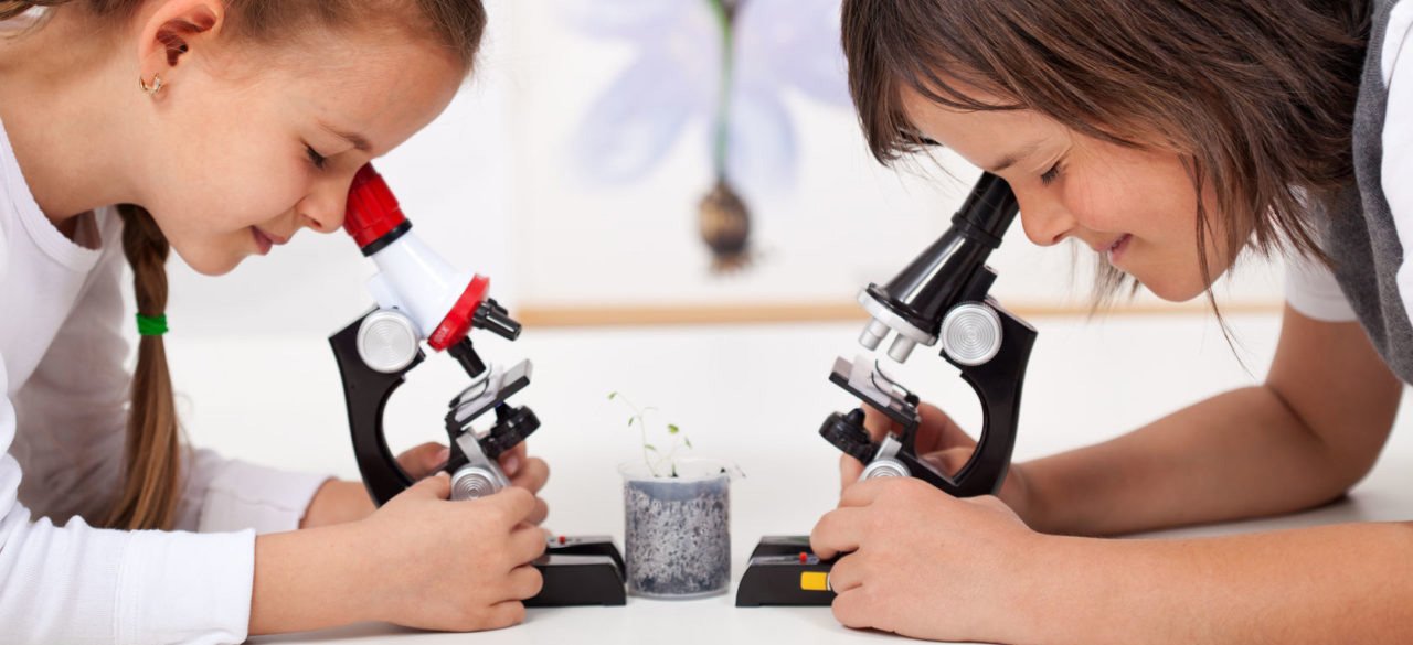 микроскопы детские в Брянске